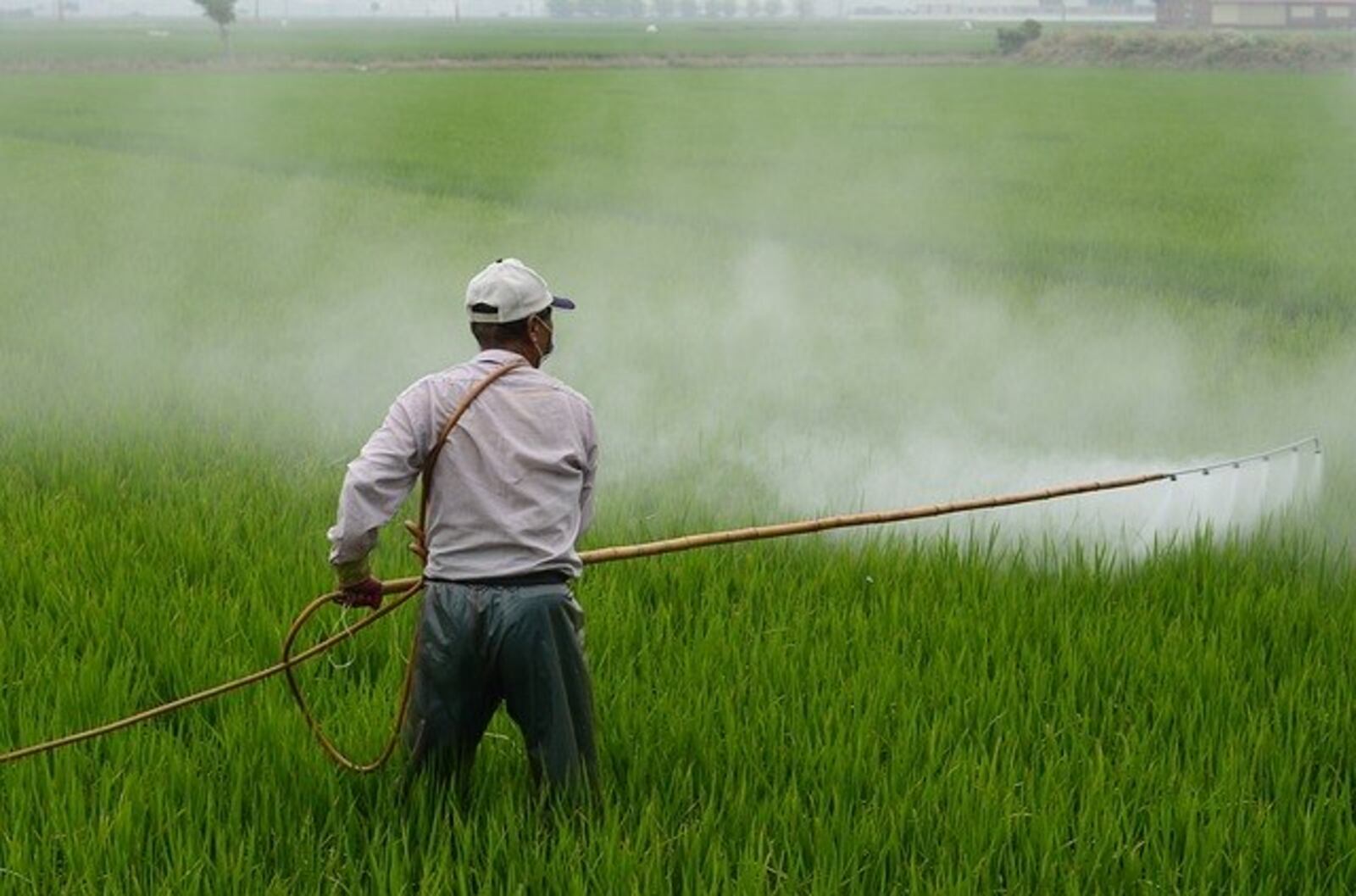Ministério do Meio Ambiente e Embrapa vão elaborar políticas públicas conforme estudo de áreas contaminadas por agrotóxicos