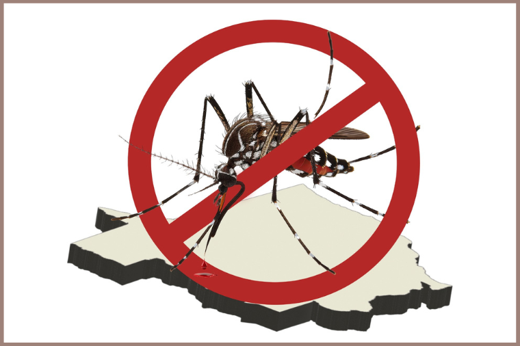 Água Boa, Nova Nazaré e Cocalinho são notificadas pelo MPE para promoverem ações no combate aos AEDES