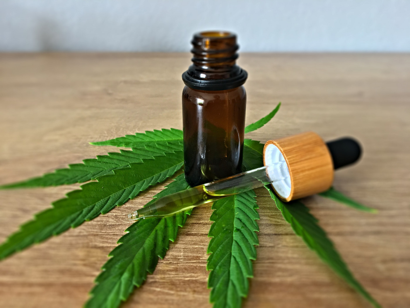 UFLA é a única do País certificada para projetos com Cannabis medicinal geneticamente modificada