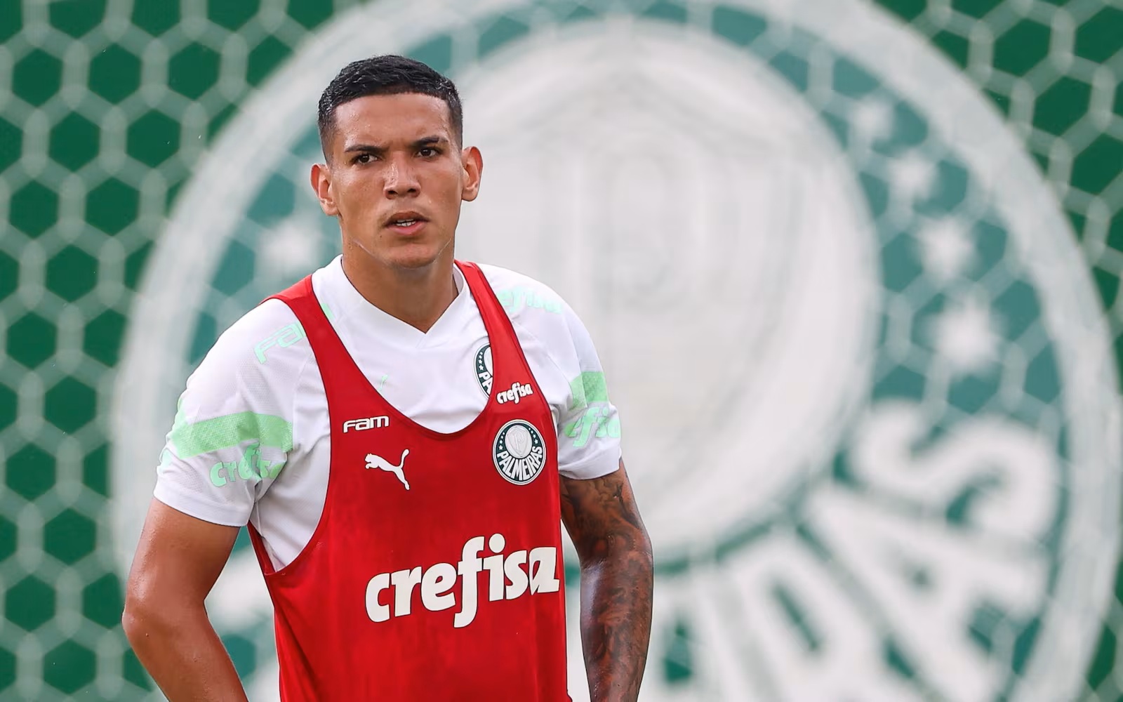 Palmeiras ignora Botafogo para Leila não negociar zagueiro Naves com Textor
