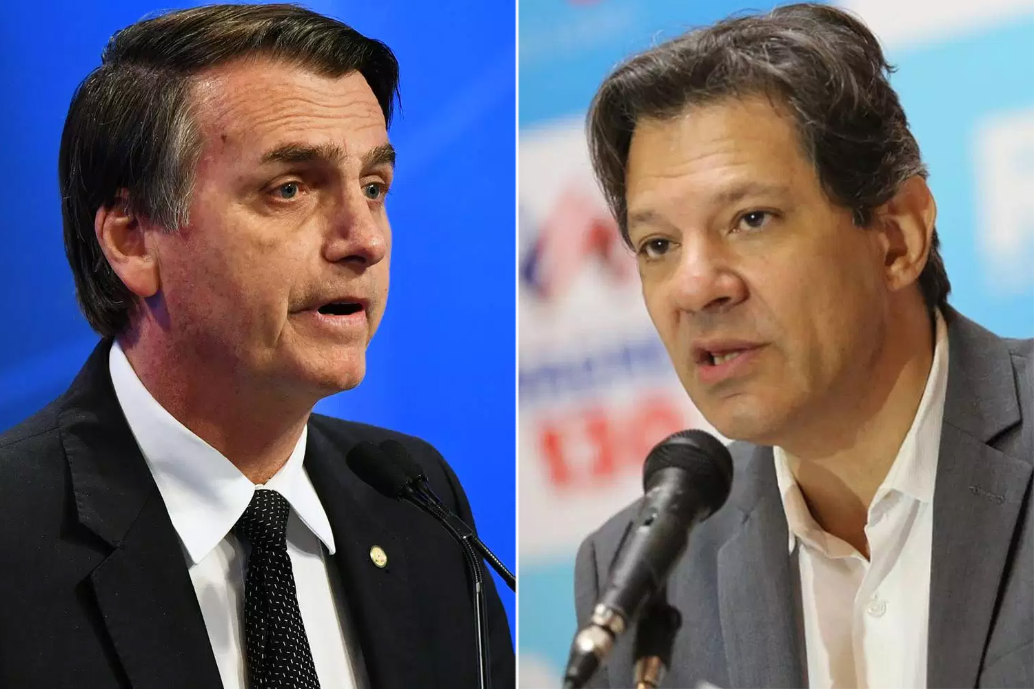 Ibope: Bolsonaro perde votos no Sul e Haddad sobe na região e dispara no Nordeste