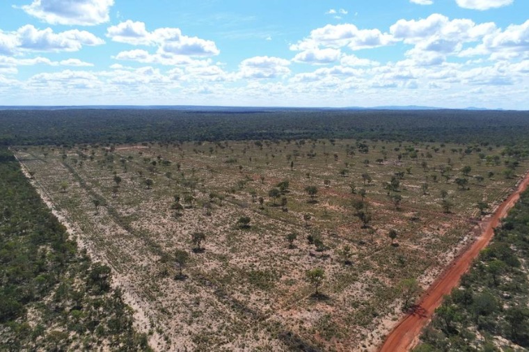 Produtor rural vai ter que pagar R$ 308 mil e recuperar área degradada em Alto Paraguai