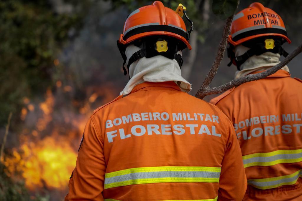Começa hoje, dia 1º de junho o período proibitivo de uso de fogo para limpeza e manejo de áreas rurais no Pantanal