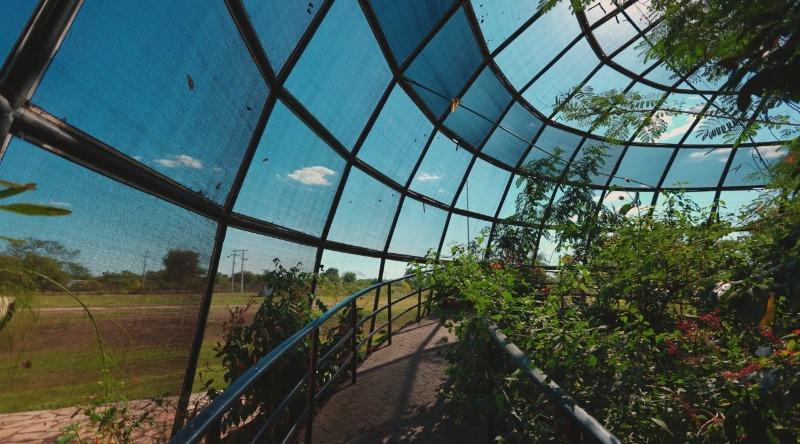 Sesc Pantanal traz imersão na natureza para a Feira de Turismo