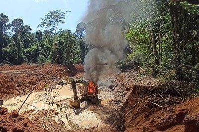 MPF denuncia cinco pessoas por garimpo ilegal e extração de madeira na Terra Indígena Sete de Setembro (MT)