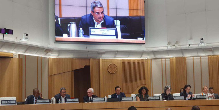 MMA apresenta políticas de prevenção e combate a incêndios florestais em evento da FAO em Roma