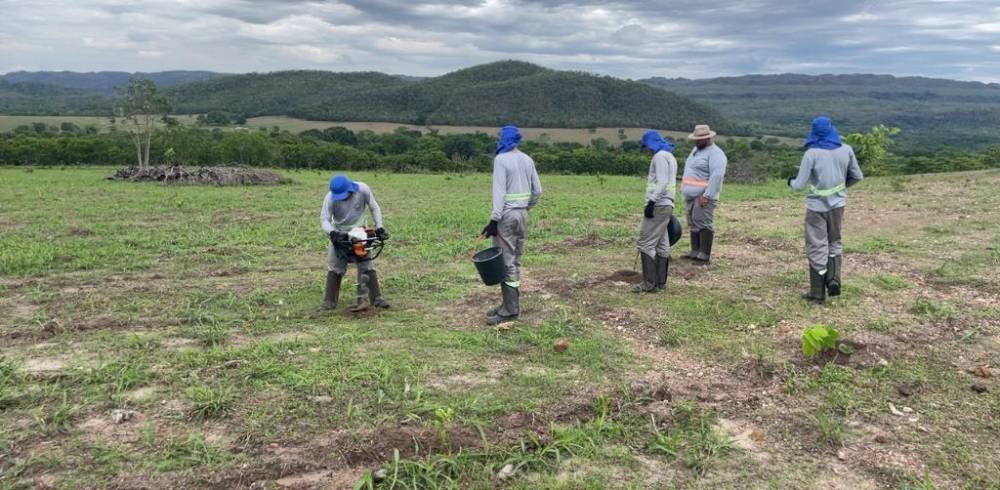 Programa Todos Pelo Araguaia é destaque na Semana de Ação Climática – a London Climate Action Week (LCAW)