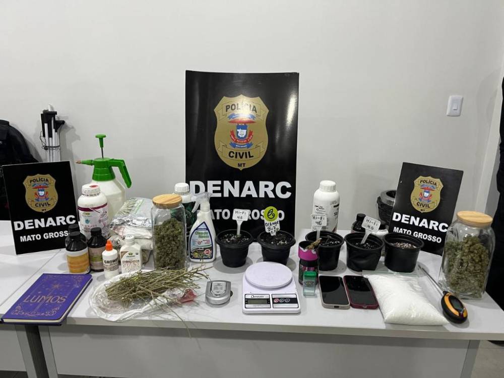 Polícia Civil conduz filha de secretária após apreensão de estufa de maconha em Várzea Grande