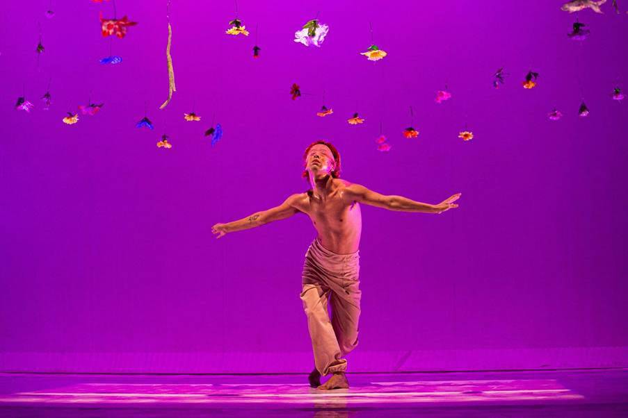 Grupo Bacae Dança, de Goiás, apresenta espetáculo Habitat, espetáculo que celebra corpos e existências LGBTQIAPN+