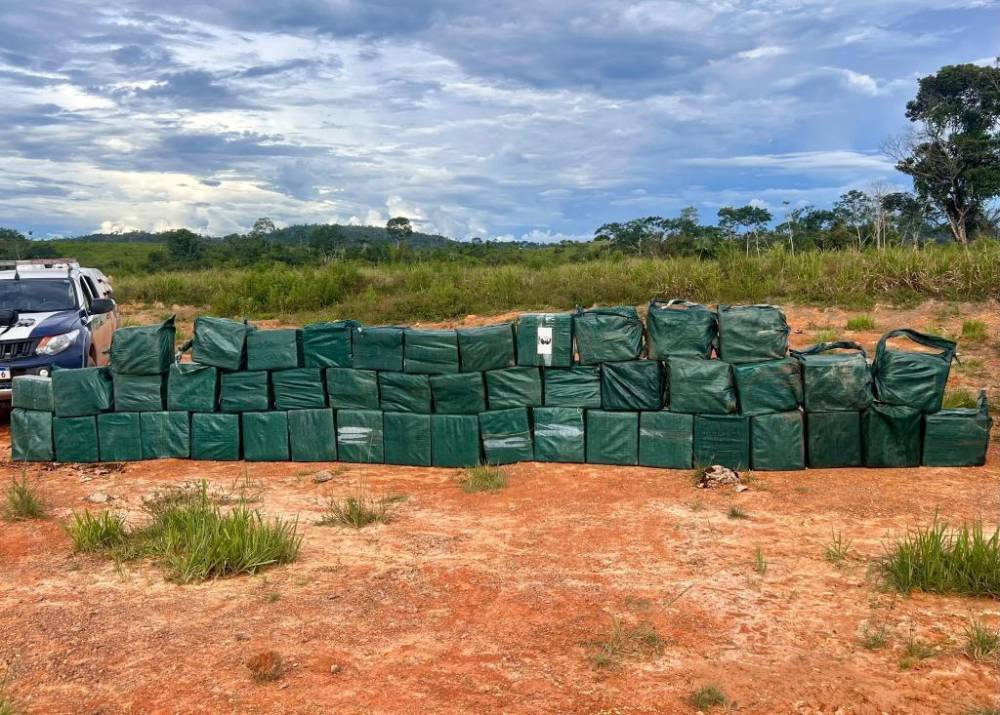 Polícia Militar registra  aumento de 166% nas apreensões de drogas no primeiro semestre de 2025