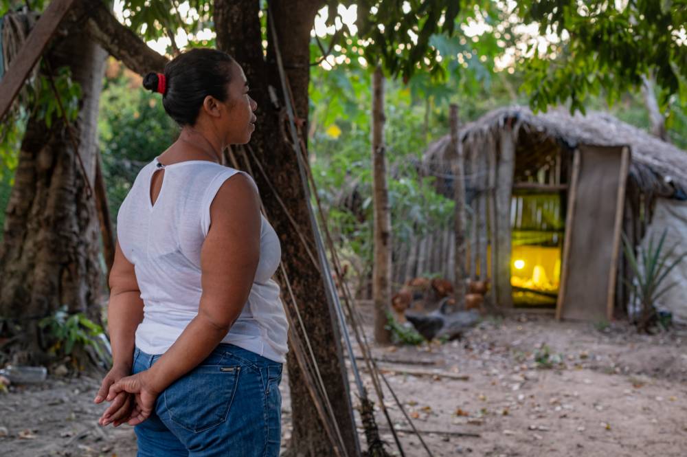 SEAF lança Edital de Chamamento de agricultores familiares para acesso ao auxílio financeiro do FUNDAAF