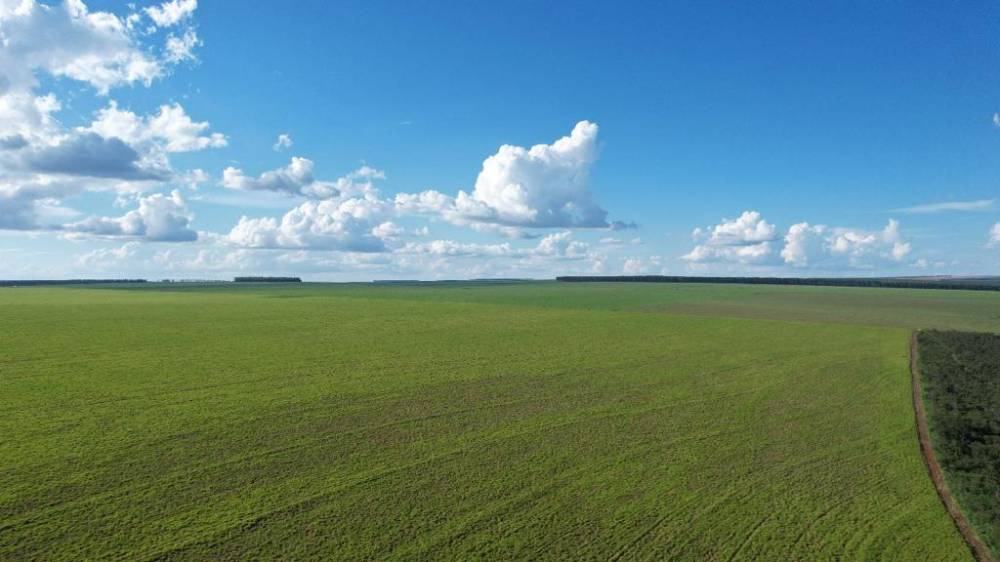 Fazenda em Primavera do Leste vai a leilão por R$ 17 milhões