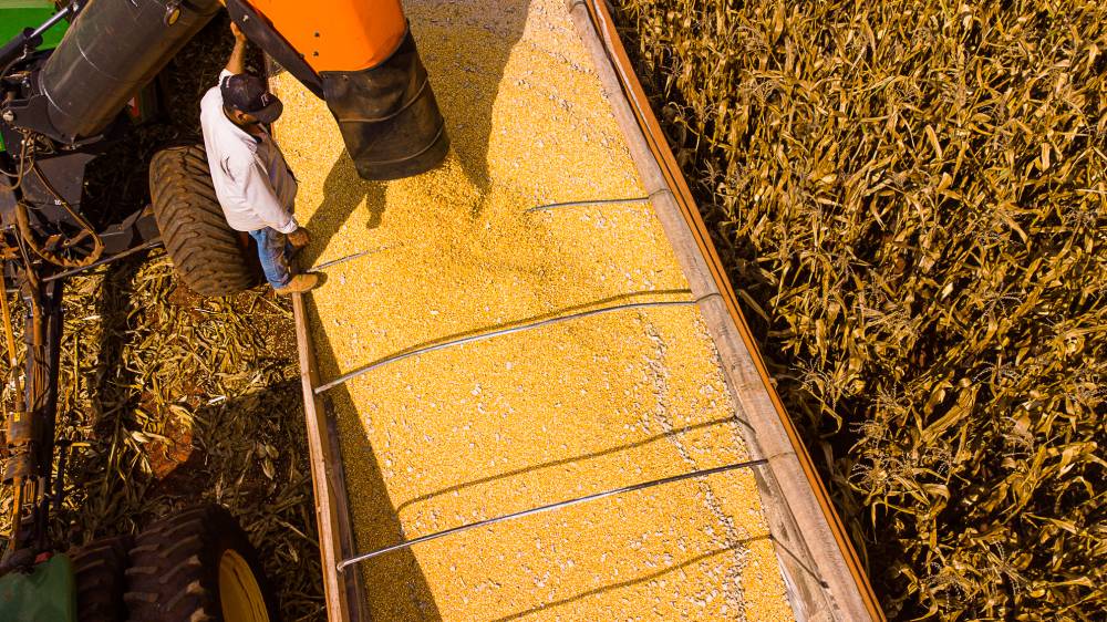 Mato Grosso alcançou o primeiro lugar no saldo da balança comercial brasileira 