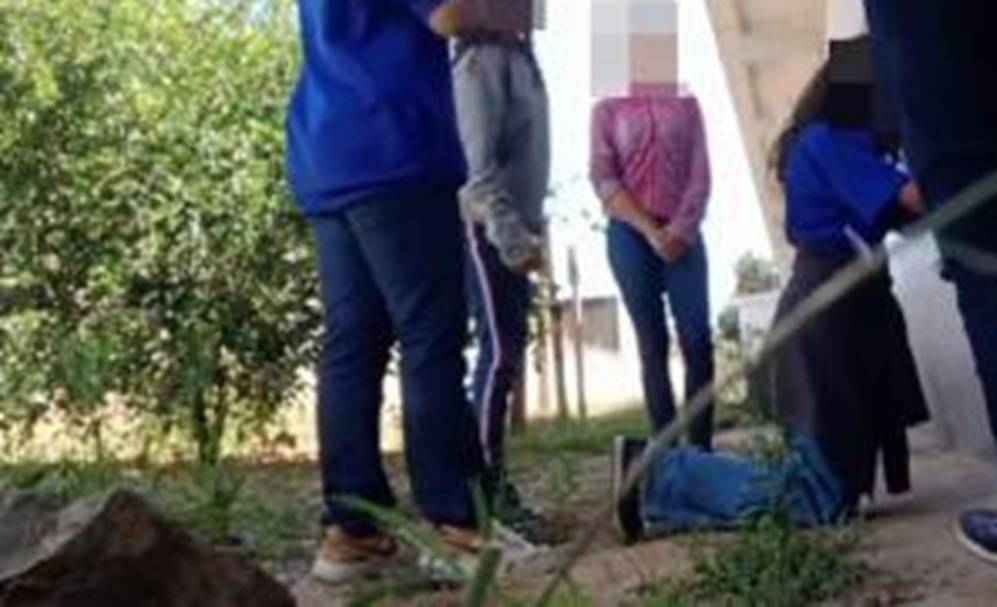 Delegado diz que as 4 menores envolvidas na agressão em Alto Paraguai são de grupo tipo organização criminosa