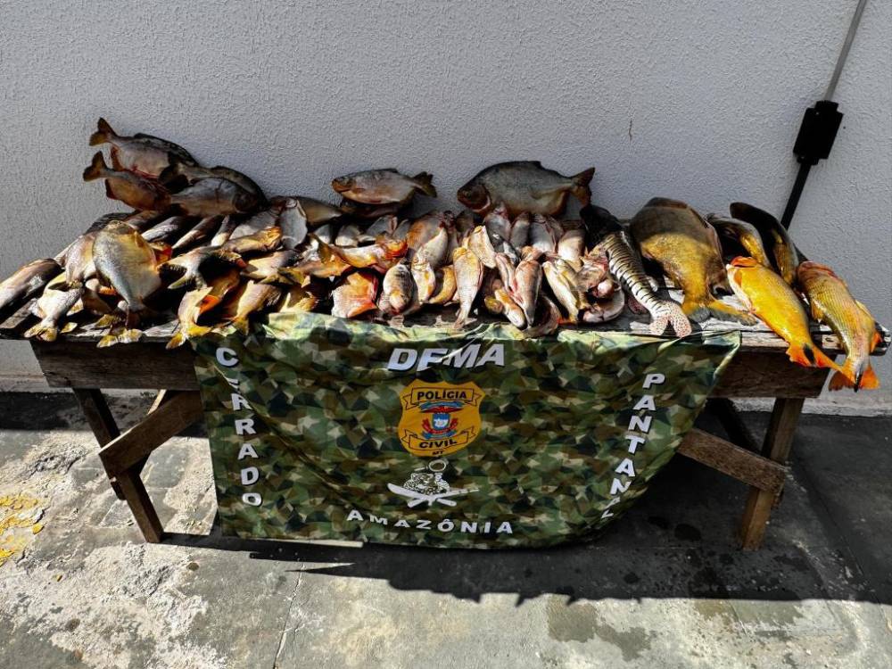 1.114kg de peixes foram apreendidos pela DEMA nos primeiros 6 meses 