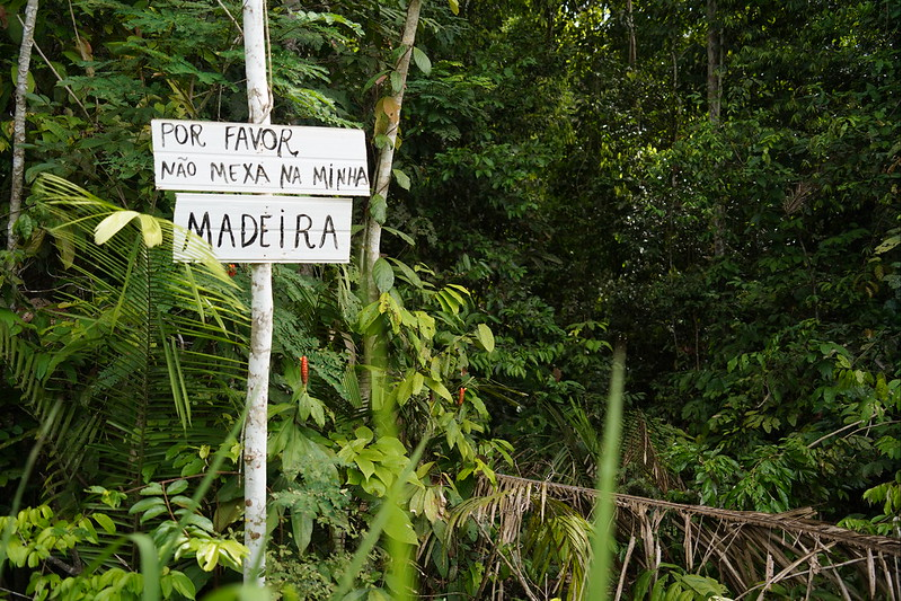  Grilagem de terras resulta em apenas 7% de condenações em decisões judiciais sobre terras na Amazônia  