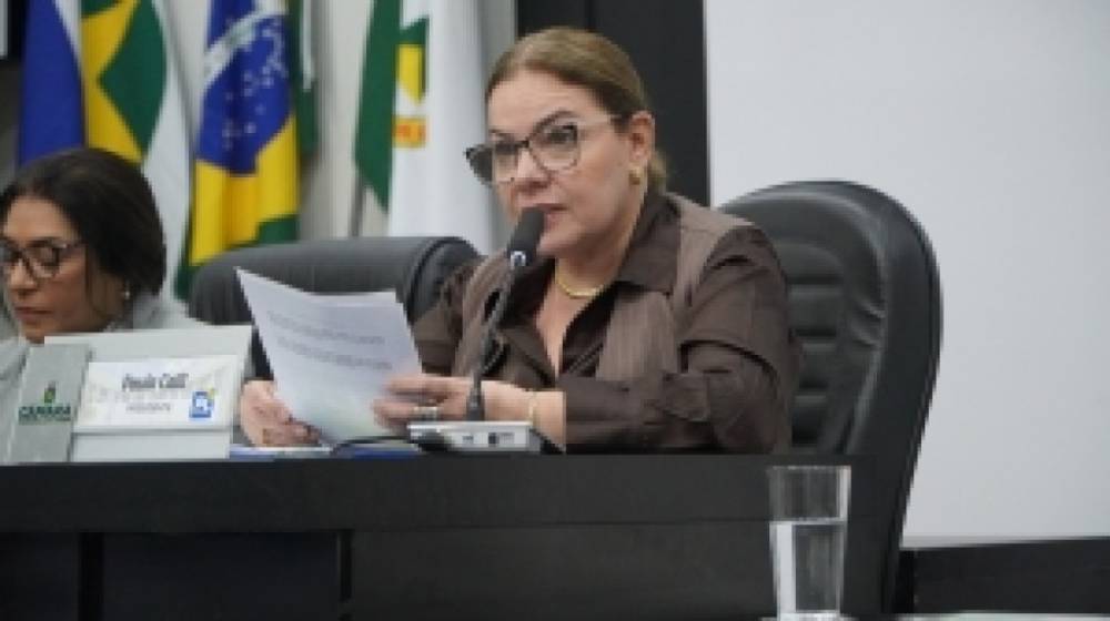 Paula Calil diz que Câmara não interferiu na decisão de Abílio em exonerar Vânia