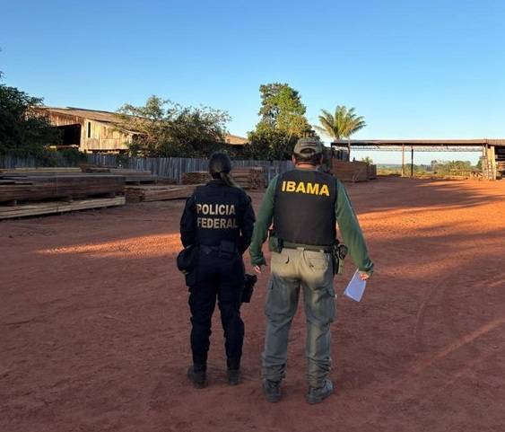  PF cumpre 10 mandados de busca e apreensão em casas e madeireiras que receberam madeiras da terra indígena