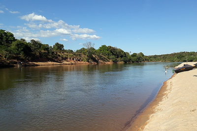 Destruição de vegetação natural em unidade de conservação próxima ao Rio Araguaia é alvo do investigação do MPF