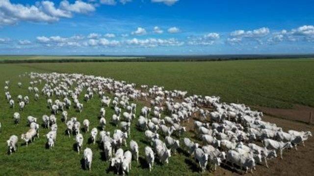 Fazendas à venda por bilhões: MT tem propriedades mais caras do País