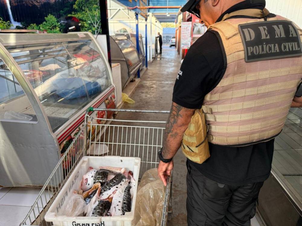 Operação apura comércio ilegal de pescado na Feira do Porto 