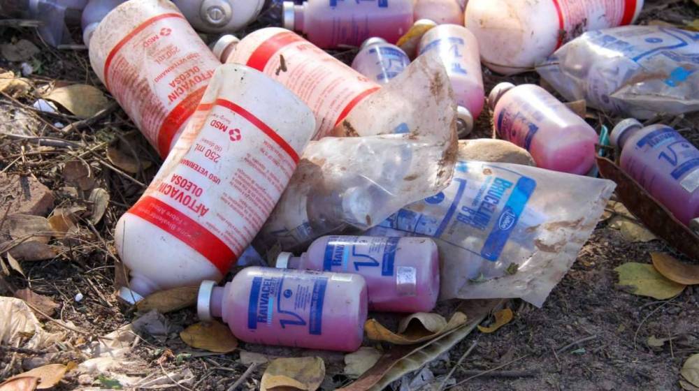 Prefeitura de Várzea Grande denuncia descarte irregular de frascos de vacinas veterinárias em área de preservação ambiental