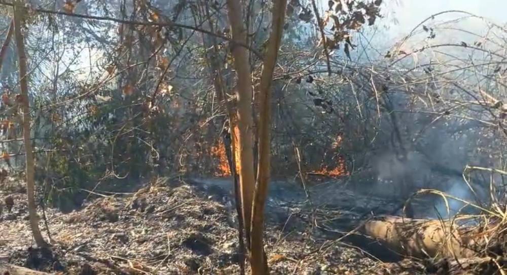  Produtores rurais da Serra de São Vicente se organizam para combater focos de incêndios na região