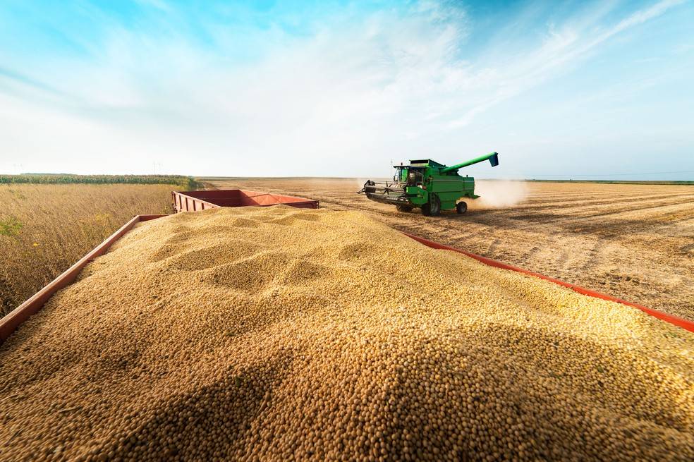 MT é uma das potências econômicas do Brasil, com destaque para a produção de soja e também a pecuária