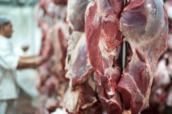 Carne bovina de MT chega a 81 países; China absorve mais da metade do volume