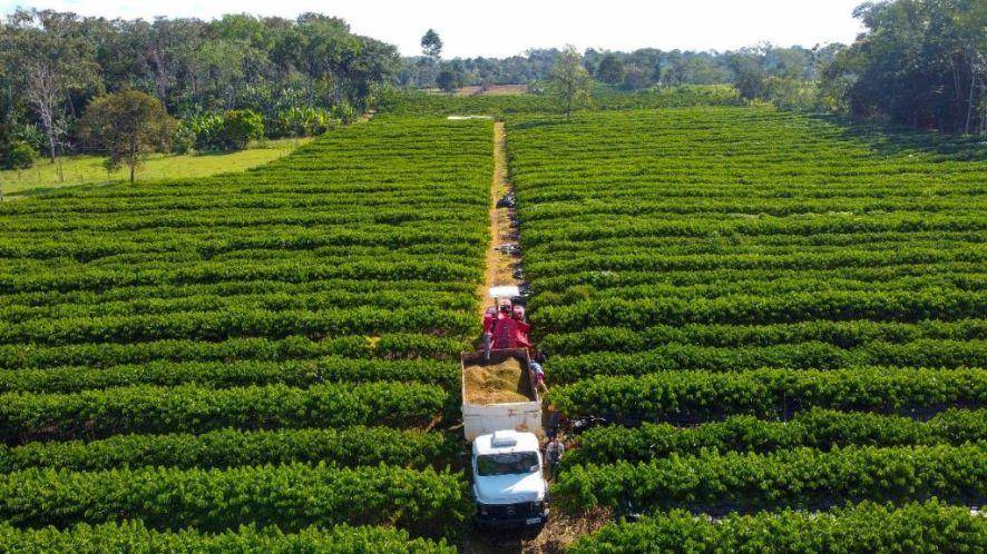 Produtores rurais de Mato Grosso passam a ter isenção dataxa de inscrição estadual 