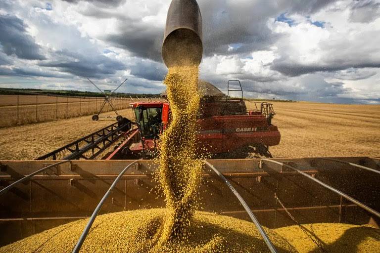 Brasil atinge recorde na colheita de grãos, com 350,2 milhões de toneladas na safra 2024/25