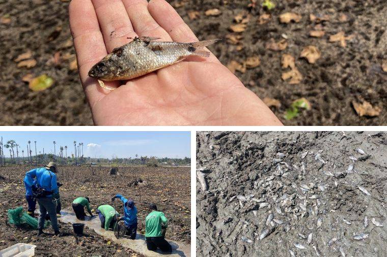 Relatório do Ministério Público aponta risco estrutural e ambiental na UHE Colíder