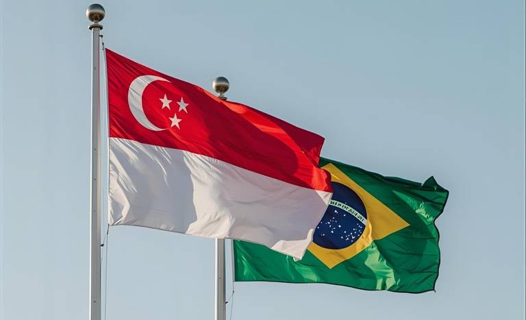 Governo brasileiro recebe das autoridades sanitárias de Singapura a autorização para exportar sebo bovino