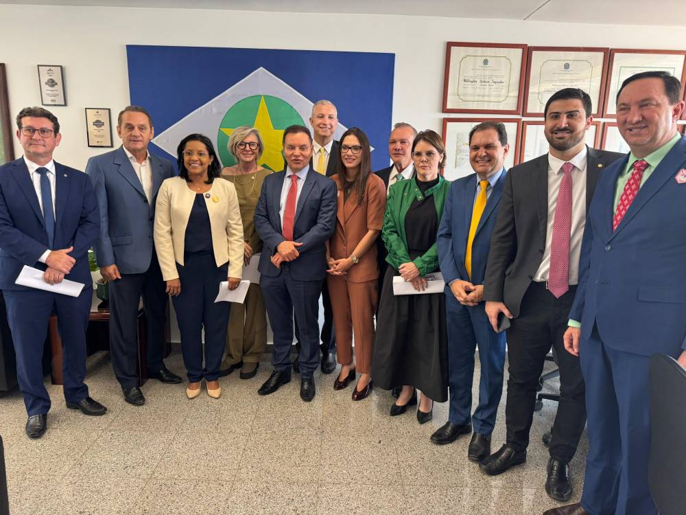 Comissão especial da ALMT está em Brasília tratando da concessão da Energisa com apoio de bancada federal