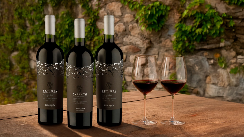 Wine traz ao Brasil o Extinto Carménère 2023, vinho icônico da Undurraga