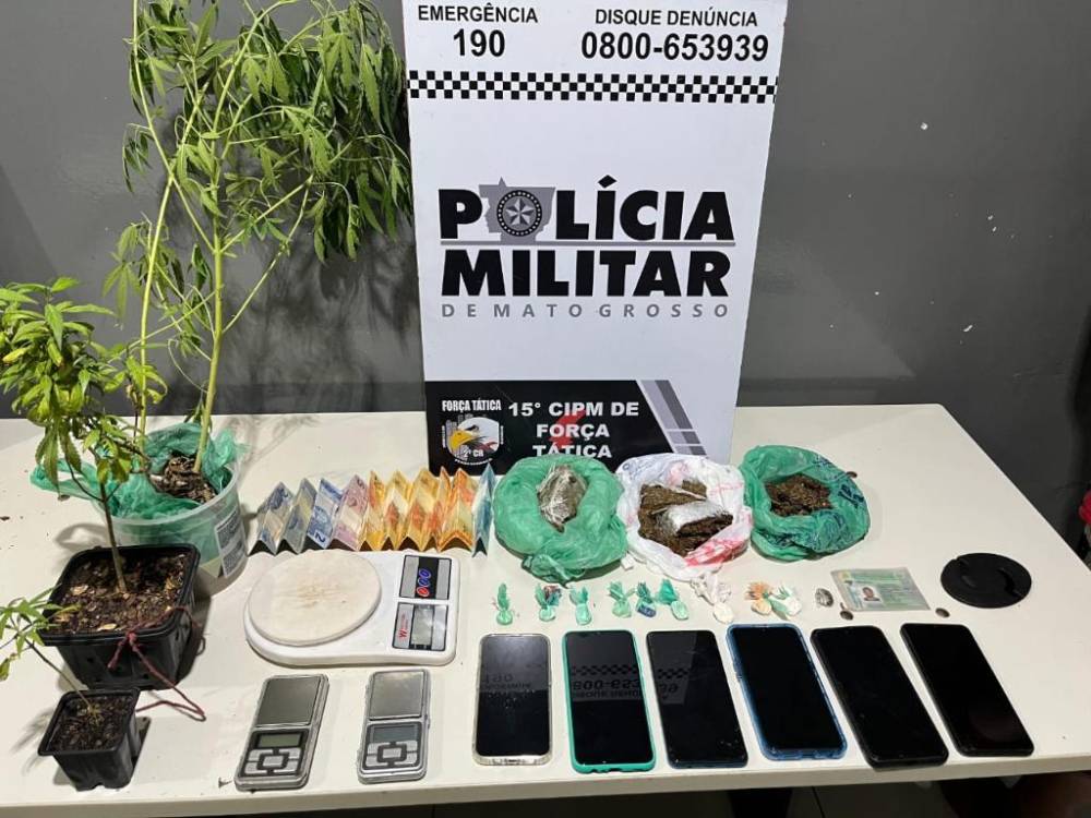 PM apreende 2 jovens com drogas e 3 pés de maconha