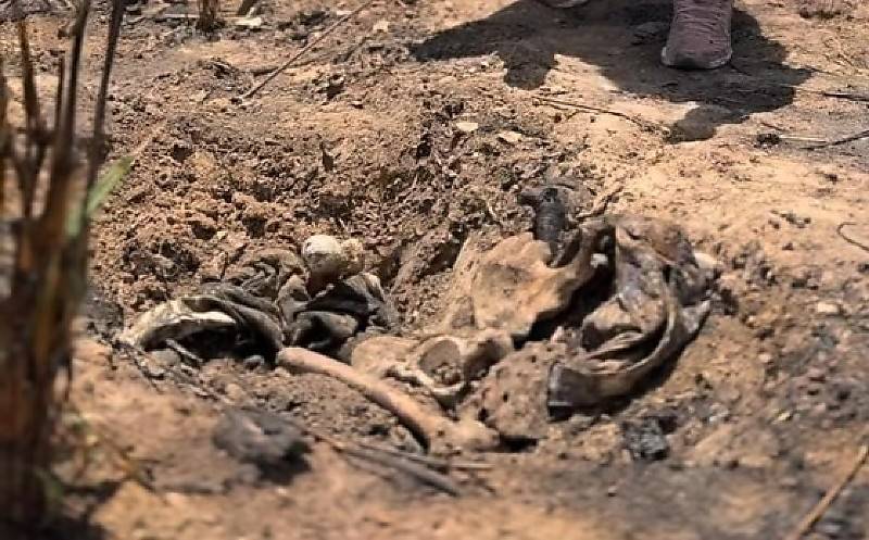 Duas covas com ossos humanos são encontradas em mata no Jardim Primavera