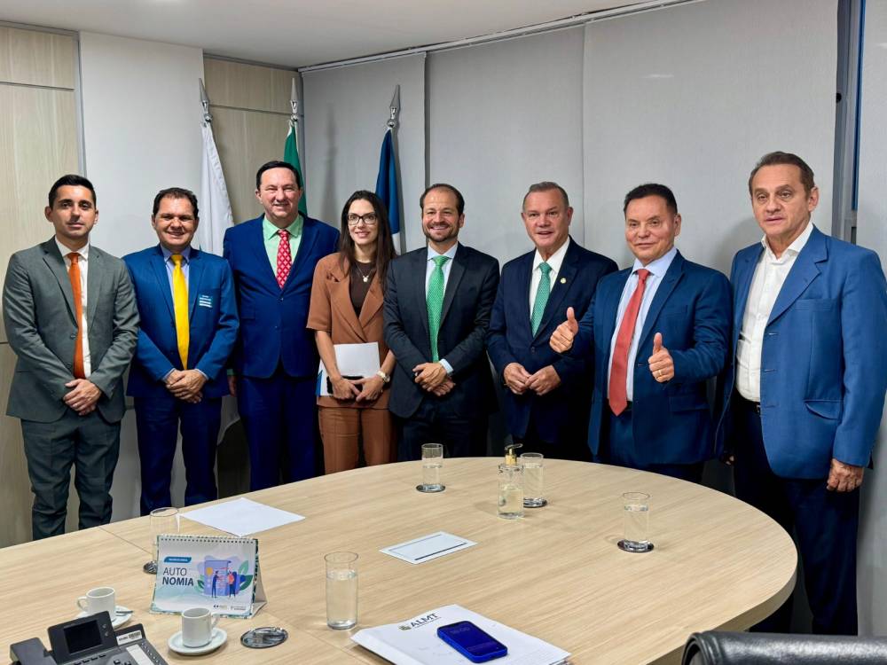 Diretor da Aneel participa de audiência pública sobre serviços da Energisa hoje na ALMT