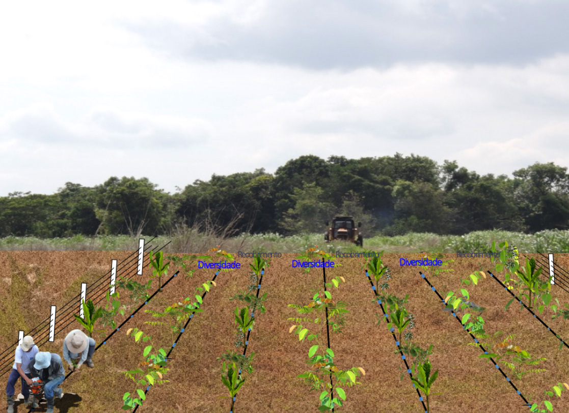 Pequenos lavradores de MT dão lição de como se pratica agricultura familiar com respeito à natureza