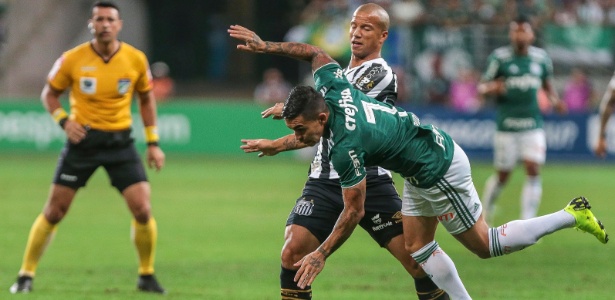 Palmeiras 