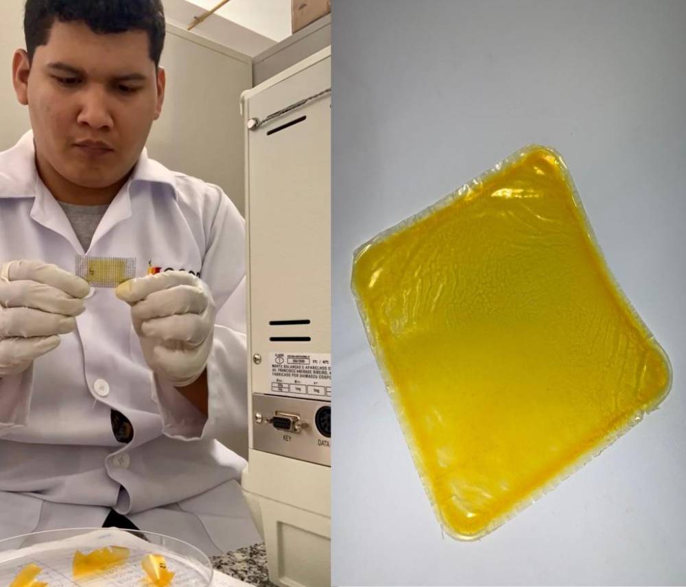 Pesquisadores da UFMT estudam o desenvolvimento de embalagem biodegradável de óleo de pequi