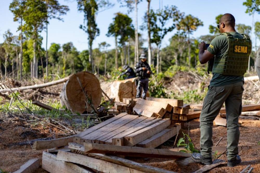 Cerca de 300 operações contra crime ambiental foram realizadas em 2025