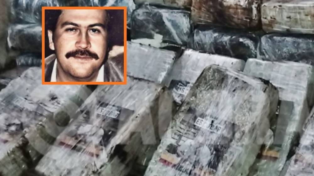 PRF apreende 43 kg de skunk com selo de Pablo Escobar na BR-364, em Rondonópolis