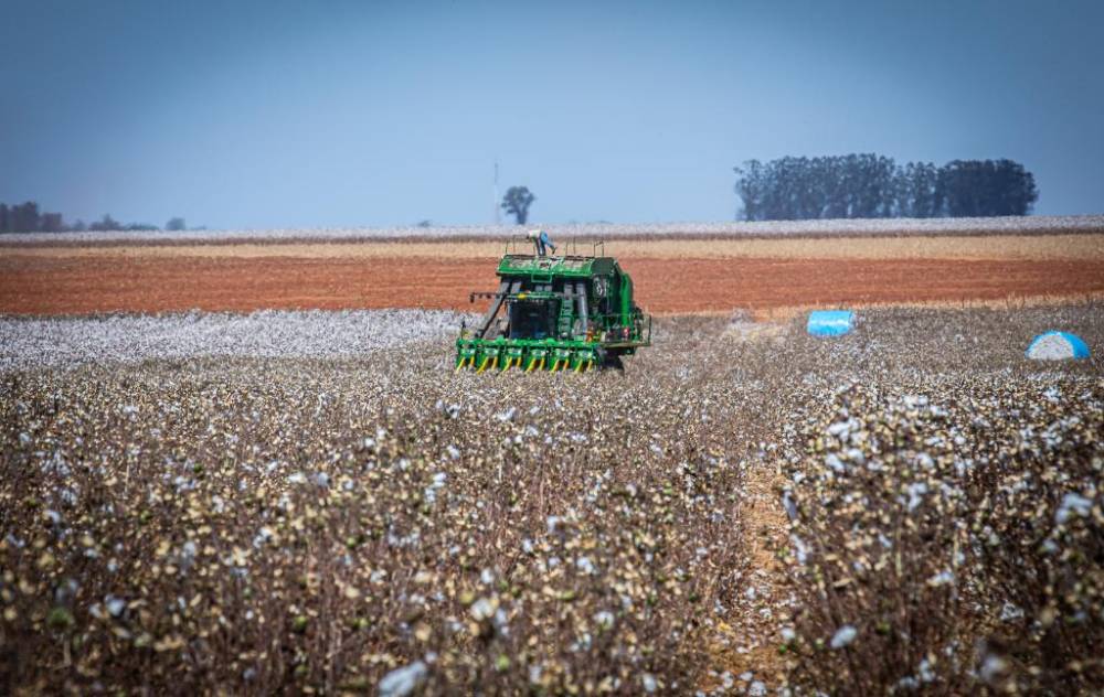 Governo de MT prorroga diferimento do ICMS para fertilizantes até 2026