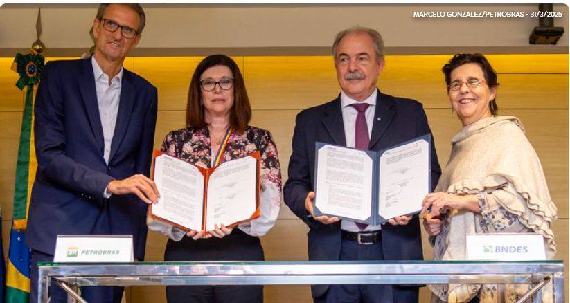 Petrobras e BNDES concluem edital ProFloresta+, com 16 propostas de venda de créditos de CO₂