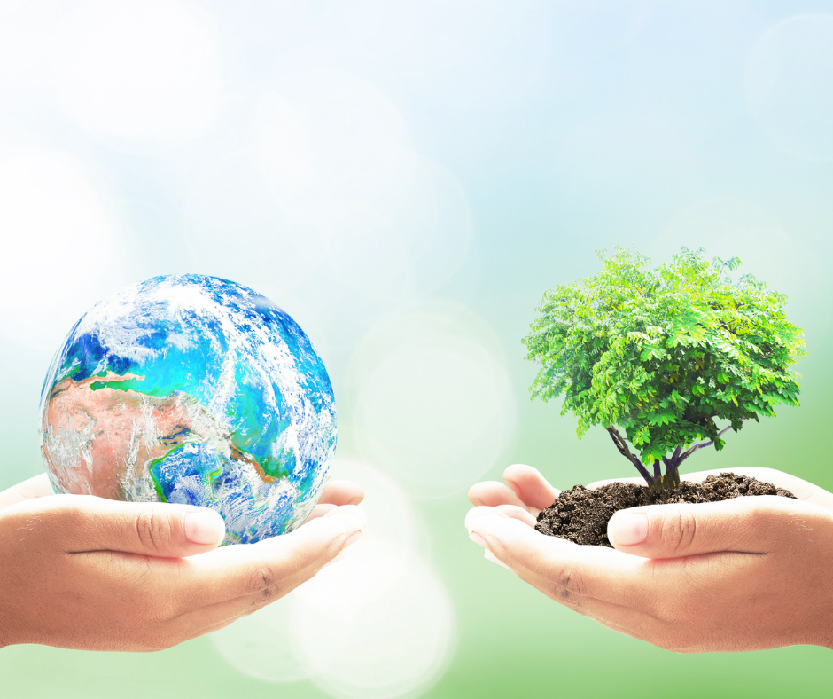 Quase metade dos brasileiros confia mais em marcas que investem em proteção ambiental, aponta pesquisa