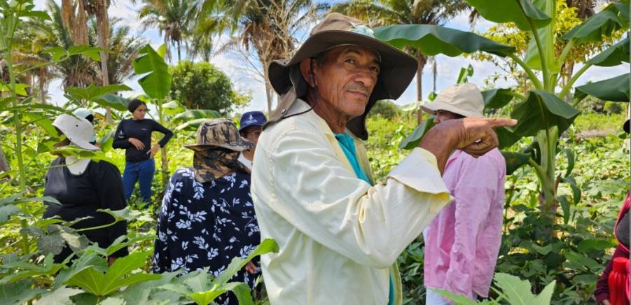  Na COP30 e além dela, a sociobioeconomia ecoa como urgência planetária 
