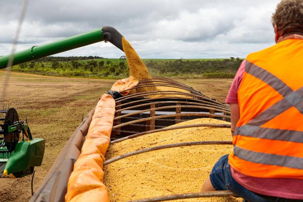 Com soja, milho e carne, Mato Grosso alcança US$ 30,1 bilhões em exportações em 2025