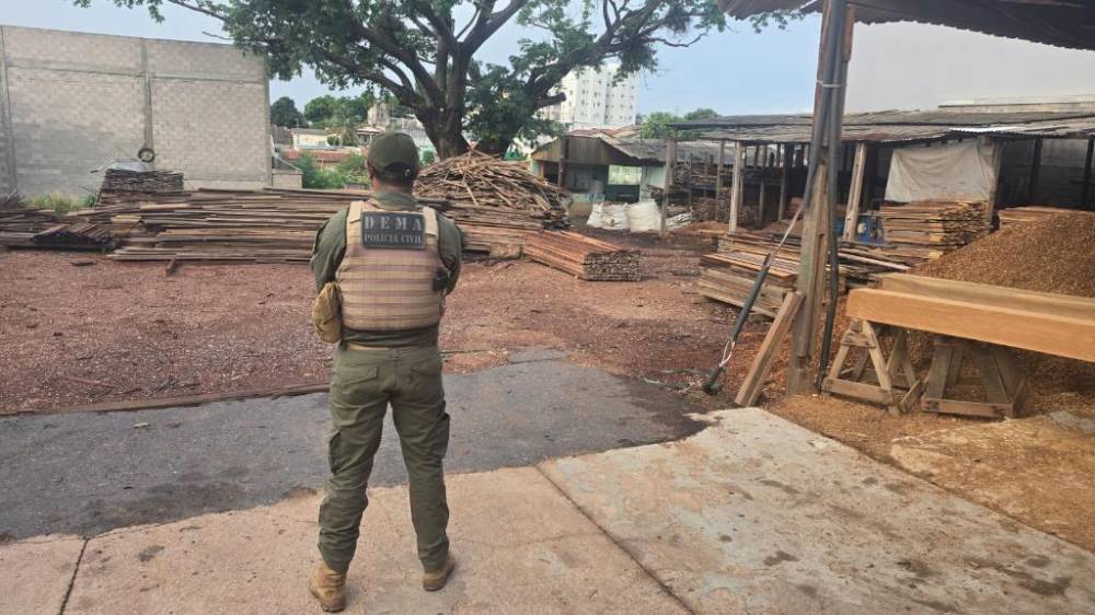 Polícia Civil desarticula esquema milionário de crimes ambientais e comércio ilegal de madeira em Mato Grosso