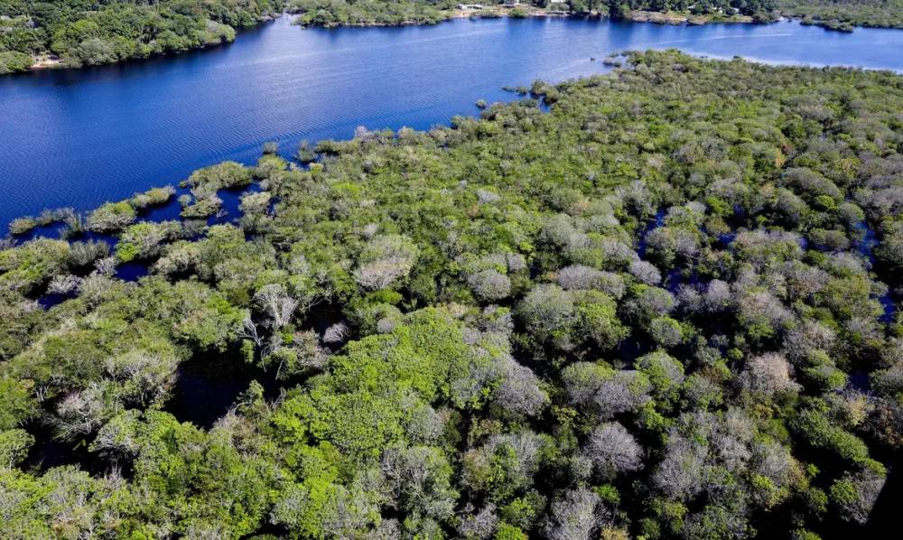 Governo Federal lança edital para combate ao desmatamento na Amazônia